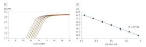 High Range Input Linearity. First-strand cDNA synthesis reactions were carried out using increasing quantities of total human RNA input, followed<br />by analysis of a portion of the products by beta-actin qPCR