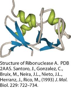 VWR®, Bovine Ribonuclease A (from Pancreas)