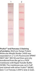 Ponceau S, Proteomics Grade