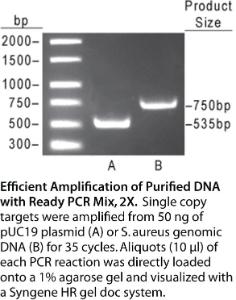 VWR®, Ready PCR Mix, 2X