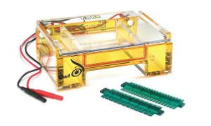 Mini horizontal gel electrophoresis systems, Owl™ B2 EasyCast™ and B3