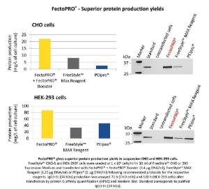 FectoCHO™ Protein production CHO + HEK cells