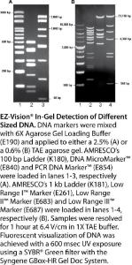 VWR® EZ-Vision® In-gel Solution