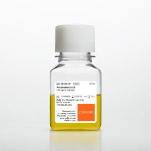 Amphotericin B 250 µg/ml