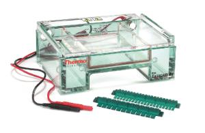 Mini horizontal gel electrophoresis systems, Owl™ B2 EasyCast™ and B3