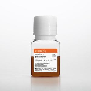 Fetal bovine serum