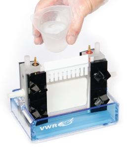 VWR® PerfectBlue Twin L, Dual Gel System