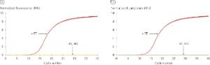 Effective gDNA removal from cells and tissue.<br />Total RNA was purified from A 1 x 106 HeLa cells or B 10 mg rat kidney tissue using the Extracta Plus RNA Kit. RT-qPCR assays were performed with (+RT) or without (–RT) reverse transcriptase.